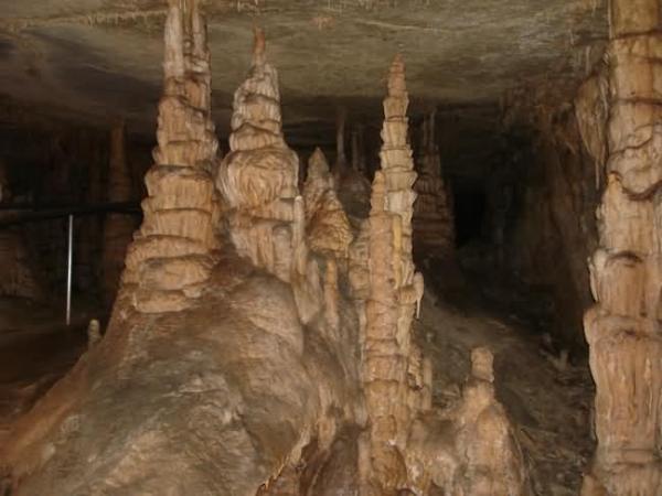 Мамутова пещера (Mammoth Cave) - САЩ, Снимка: mediadump.comНационалният парк "Мамутова пещера" се намира в Северна Америка, в цетралната част на щата Кентъки. Това е най-дългата система от пещери на Земята. Главният вход на пещерата, наречен Бродуей, води до система от коридори, лабиринти, проходи, пропасти и зали. Те са разположени на 5 етажа и имат обща дължина  около 591 км. В огромната зала “Голямата ротонда” свободно могат да се поберат хиляди посетители. Пещерата влиза в Списъка на Юнеско за световно и културно природно наследство на 27 октомври 1981 година и става биосферен резерват на 26 септември 1990.