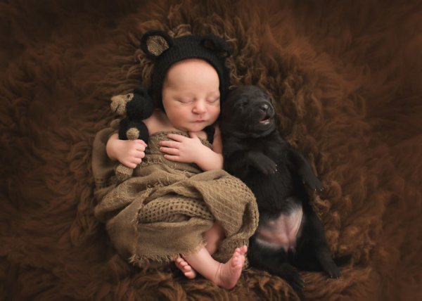 Снимка: Child Photo Competition