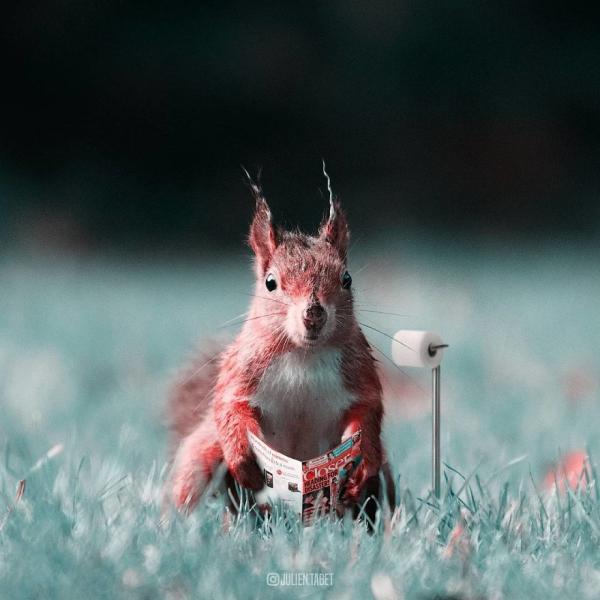 Снимка: Instagram/Julien Tabet