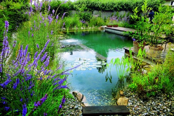 Снимка: NaturalSwimmingPools