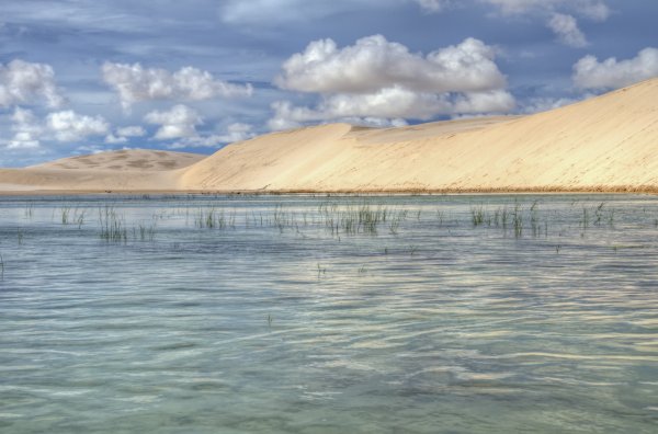 Lençóis Maranhenses, БразилияСнимка: DreamstimeИзглежда невероятно, че в страна, която държи 30% от резервите на Земята с питейна вода и е родина на най-голямата тропическа гора, можем да открием и пустиня. Lençóis Maranhenses се намира в Бразилия, заема площ от 300 км2 с бели дюни и дълбоки сини лагуни, което я превръща в едно от най-уникалните места в света.