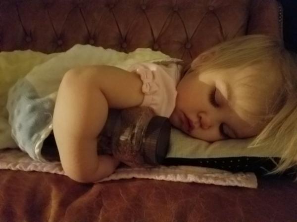 Защо да харчите пари за скъпи играчки, когато и буркан може да свърши идеална работа. Снимка: Twitter