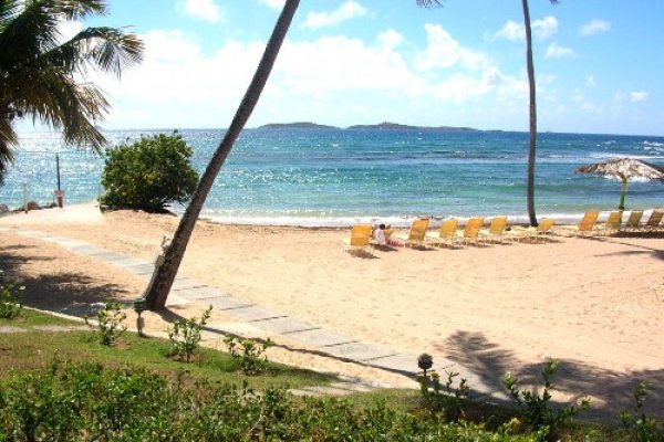 2. Bolongo Bay Beach Resort, Вирджински островиКарибският курорт разполага със собствена плажна ивица с палмови дървета и голямата атракция – свободно разхождащи се игуани. В хотела има басейн, два морски ресторанта и нощен бар. Също така гостите на Bolongo Bay Beach Resort могат безплатно да практикуват различни водни спортове. Белият пясък пък е на няма и метър от стаите.Цена: Стандартните стаи за двама започват от 160 $, а тези с гледка към океана – от 284 $Снимка: frommers.com