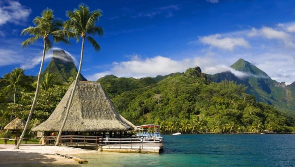 "Клуб Бали Хай", Таити (Club Bali Hai, Moorea); Снимка: clubbalihai.comЦена: от 248 долара за нощувка в стая за двамаНякъде през 1960 година трима приятели се местят от Нюпорт Бийч, Калифорния в Мореа, Френска Полинезия. Там стават известни като „момчетата от Бали Хай“. Двама от тях все още са живи и според сайта им именно те са дали началото на първите бунгала над водата. „Клуб Бали Хай“ предлага най-евтините стаи в южната част на Тихия океан. Бунгалата са просторни, с пълно кухненско обзавеждане и в непосредствена близост до брега.  