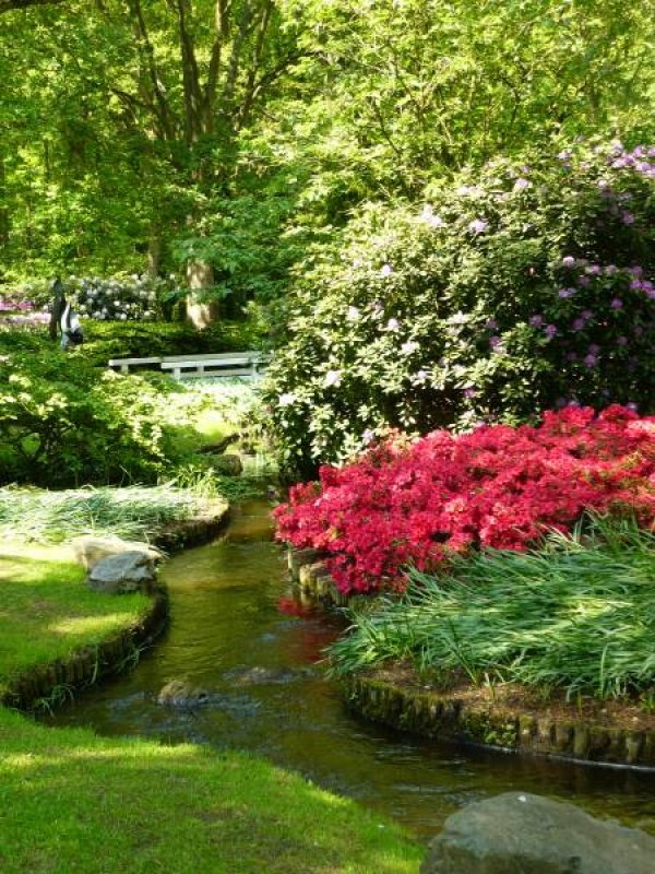 Снимка: www.keukenhof.nl
