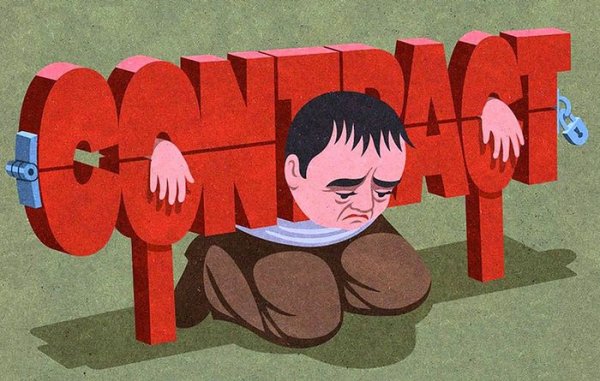 Снимка: John Holocraft/boredpanda.com