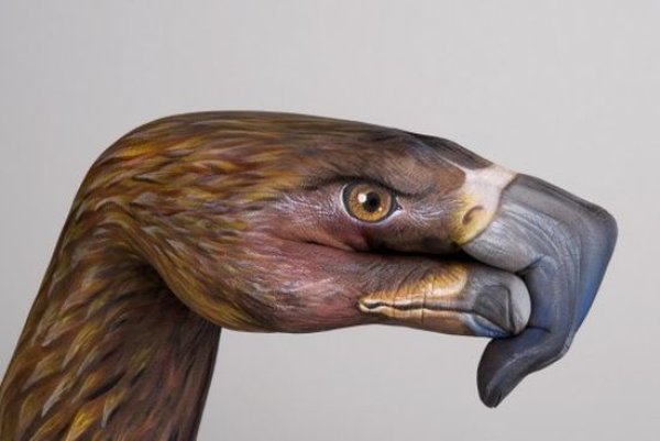 Снимка: Guido Daniele