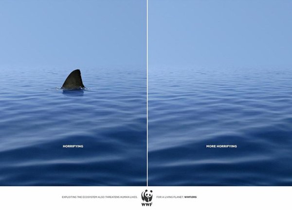 WWF: Акула"Ужасяващо" - "По-ужасяващо"Снимка: Advertising Agency: DDB&CO., Istanbul, Turkey