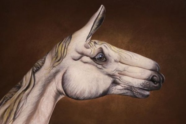 Снимка: Guido Daniele