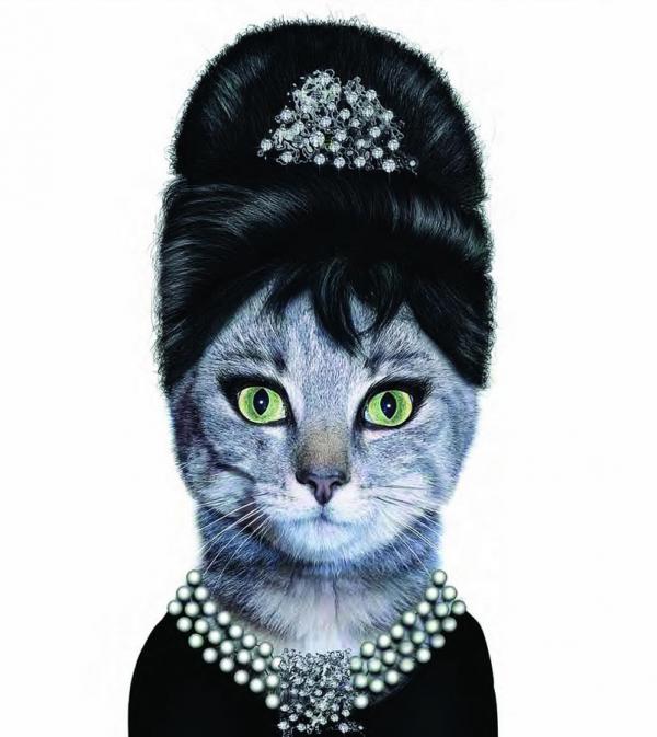 Одри ХепбърнСнимка: oddstuffmagazine.com