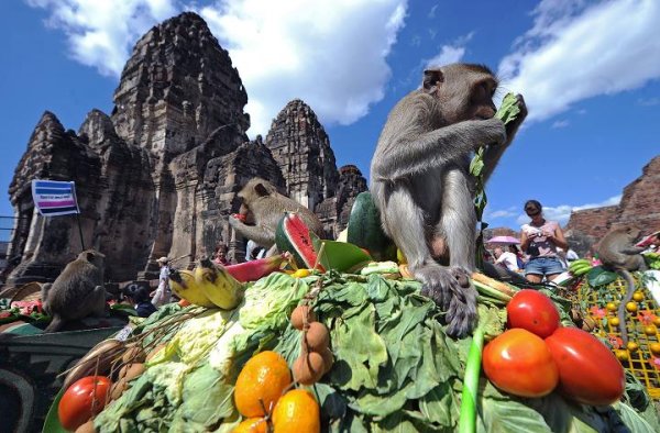 Снимка: festivals-holidays.com