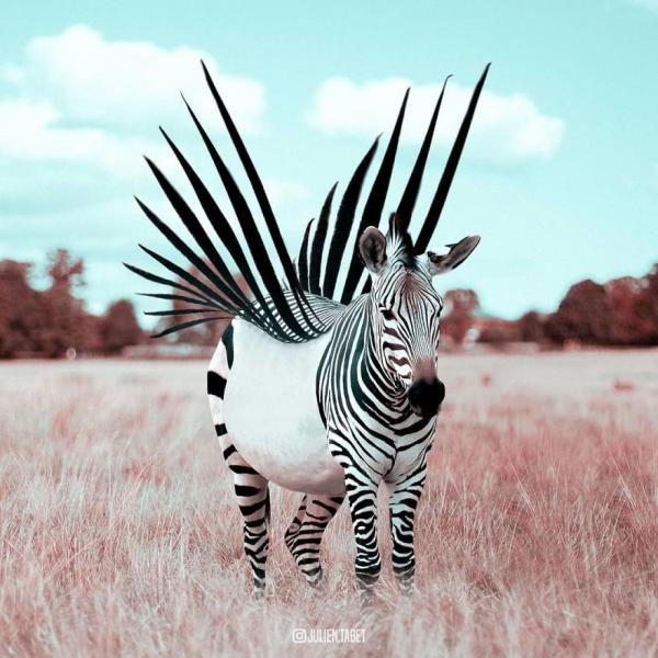 Снимка: Instagram/Julien Tabet
