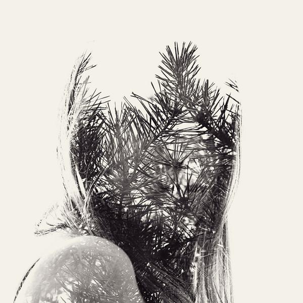 Снимка: trendland.com