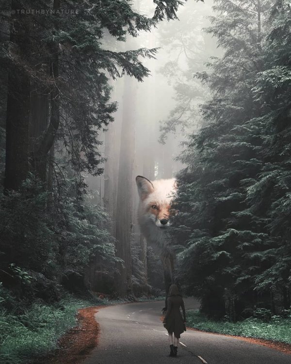  Instagram/truthbynature