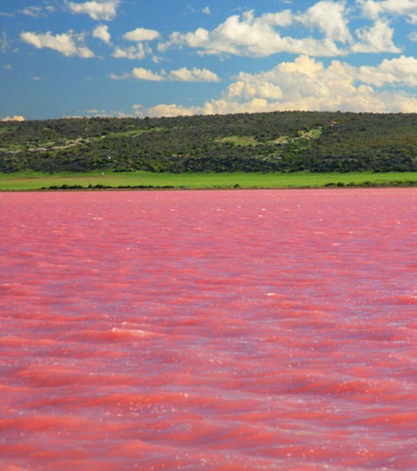 Снимки: hillierlake.com