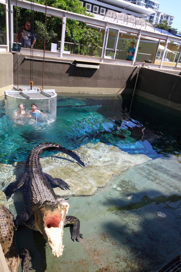 Снимка: crocosauruscove.com