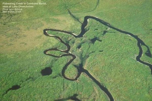 9. Езерото Фишийтинг Крийк – ФлоридаИзползвайте въображението си и ще откриете не една и две фигури. Всичко зависи от това как вие възприемате формата на Фишийтинг – като ръка, която взема нещо, огън на дракон или пък птица.Снимка: weirdlyodd.com