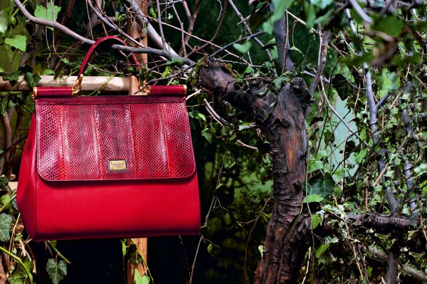 Снимка: Dolce & Gabbana