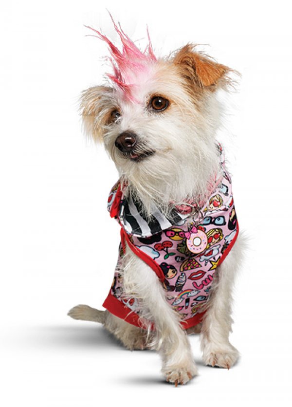 Снимка: community.petco.com