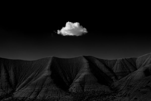 Снимка: colethompsonphotography.com