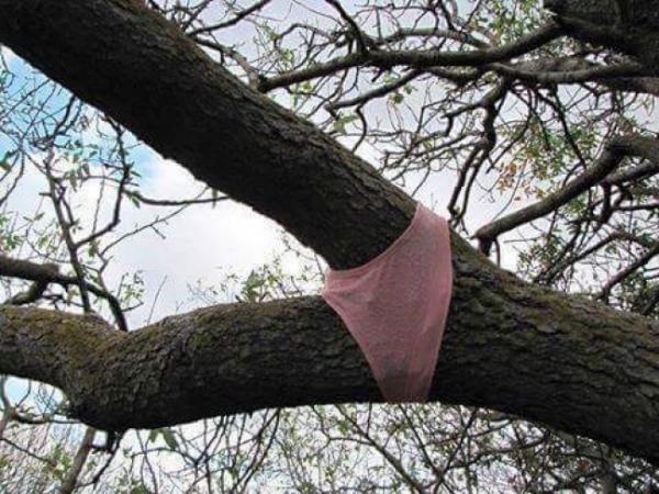 Снимка: imgur