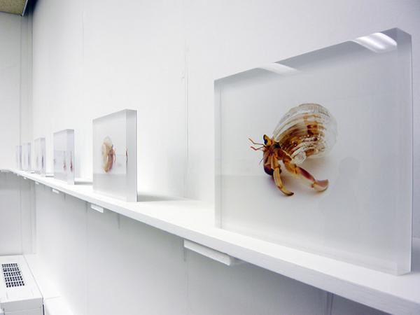 Снимка: Ai Kowada Gallery