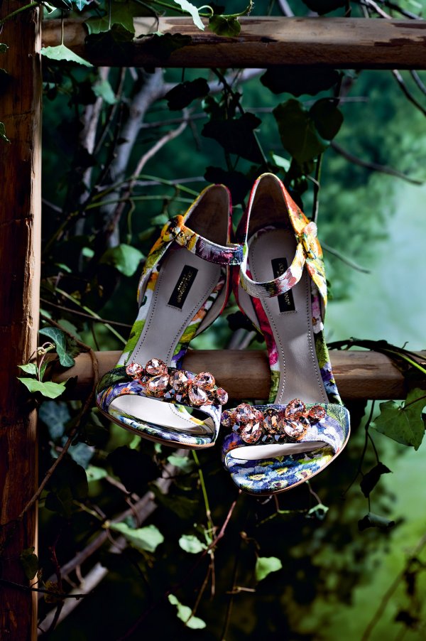 Снимка: Dolce & Gabbana