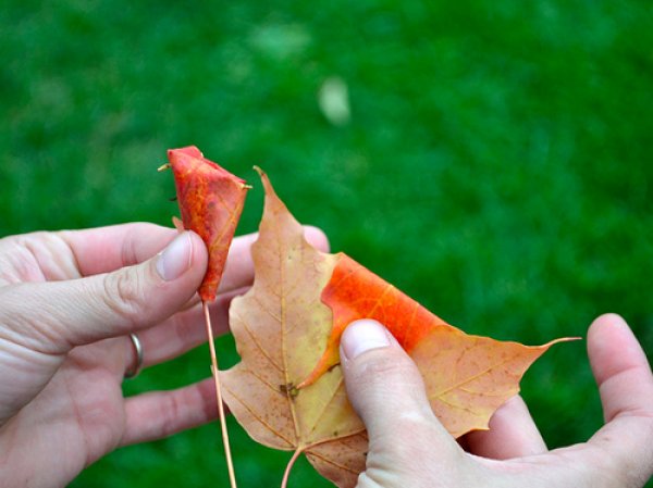 Вземете още едно листо и прегънете центъра му надолу. Поставете първото листо в средата, сгънете краищата на второто листо и увийте двете страни около "пъпката". Снимка: Kate Hust