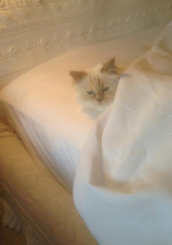 Източник: Instagram