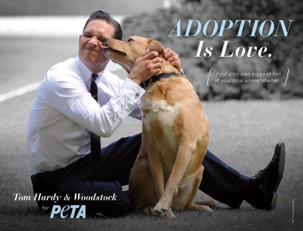 Снимка: Peta