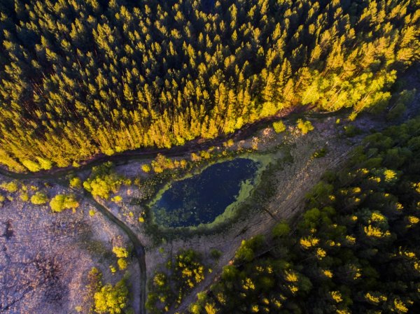 Снимка: nat-geo.ru