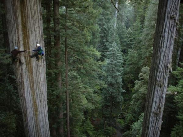 Снимка: MICHAEL NICHOLS/National Geographic Stock