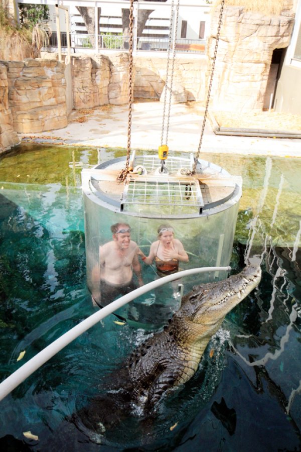 Снимка: crocosauruscove.com