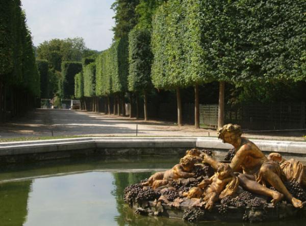 Версай – Франция (Versailles)Снимка: chateauversailles.frКато че ли това е най-известната градина в света. Тя е построена за крал Луи XIV и е проектирани от Андре Льо Нотр. Създаването на градината е изисквало огромен труд, защото на тези места е имало гори и блата. Били са докарани огромни количества пръст, за да могат да бъдат направени цветните лехи. Почвата и дърветата са били транспортирани в колички от всички провинции на Франция, като в начинанието са се включили хиляди хора и дори цели полкове.