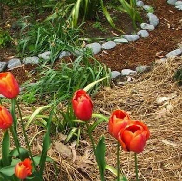 Снимка: bobvila.com