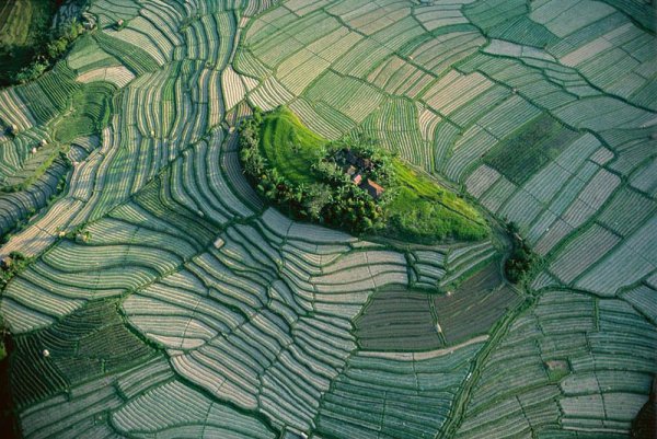 Бали, Индонезия... Снимка: Yann Arthus Bertrand