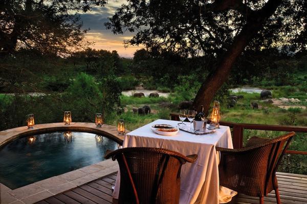 Снимка: Lion Sands Game Reserve