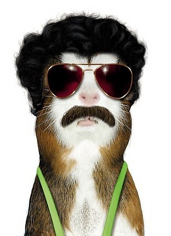 БоратСнимка: oddstuffmagazine.com