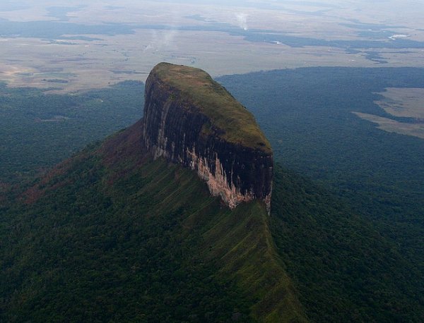 Снимка: pamudurthi.blogspot.comПтари Тепуи – ВенецуелаПлатото на тази част от веригата Guiana Shield е толкова изолирано на върха си, че се смята, че е дом на много ендемични животински и растителни видове.