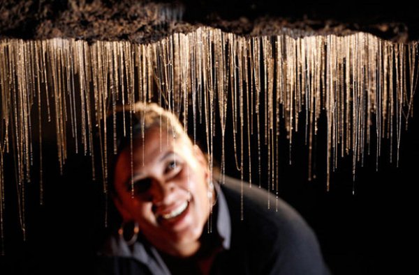 1. Waitomo Glowworm Caves – Нова ЗеландияПредставете си, че сте на тъмно, в лодка и се възхищавате на блестящото небе. С тази разлика обаче, че не виждате звезди, а светулки. Те се срещат в пещерите на Waitomo в Нова Зеландия. По време на разходката си в пещерата ще се озовете и в Катедралата – пещера, известна със своята акустика.Снимка: travel.yahoo.com