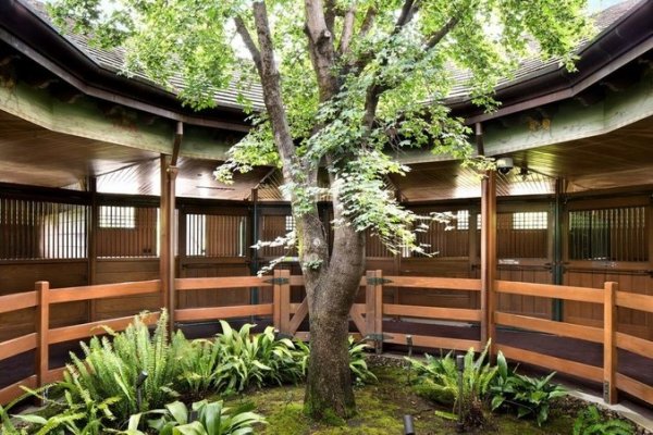 Снимка: wmagazine.com/realtors.com