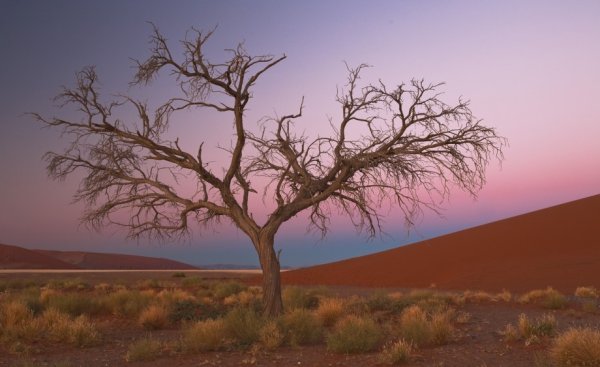 Снимка: beautiful-landscapes.org