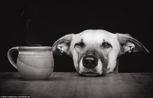 Снимка: Elke Vogelsang