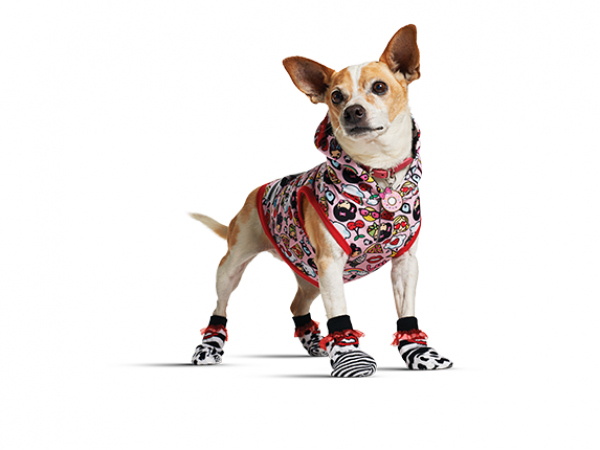 Снимка: community.petco.com