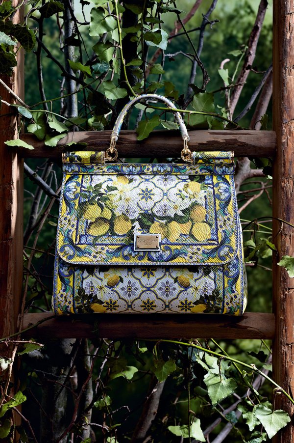 Снимка: Dolce & Gabbana