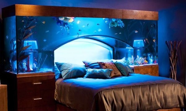 Спалня - аквариумСнимка: home-designing.com