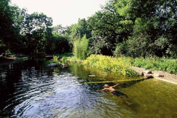 Снимка: NaturalSwimmingPools