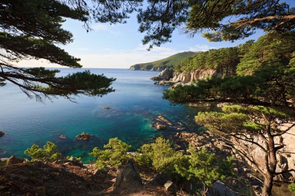 Снимка: DreamstimeKiller Cove (Заливът на убийците), ЯпонияСините сега води край живописния остров Таиджи в Осака, Япония са си спечелили това име по много кървав начин. Те са дом на дългогодишна традиция, будеща социално възмущение и организирала цяла армия от природозащитници в борба за ликвидирането ѝ - ежегодния лов и пазар на делфини. Това особено кърваво събитие е вдъхновило и филм - “The Cove”, спечелил Оскар за най-добра документална лента през 2010 г.Жестокостите, разиграващи се в този залив всяка година, са действително като от филм на ужасите: рибарите от областта изчакват стадата нищо не подозиращи тъпоноси делфини да влязат в заграденото плитко водно пространство и отрязват с мрежи достъпа им до открито море, след което съвсем буквалното клане започва... Водата става абсолютно червена от кръв, в която около 100 делфина намират смъртта си под куките на рибарите само в един от дните от ловния сезон.