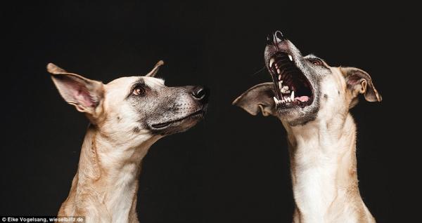 Снимка: Elke Vogelsang