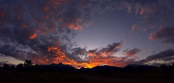 Снимка: markflowerphotography.com